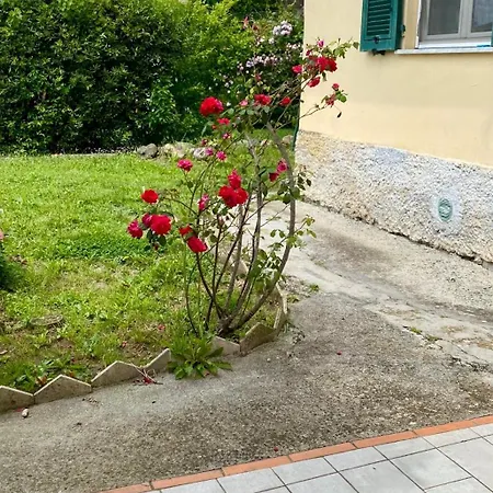 Pedali Di Liguria * Casarza Ligure