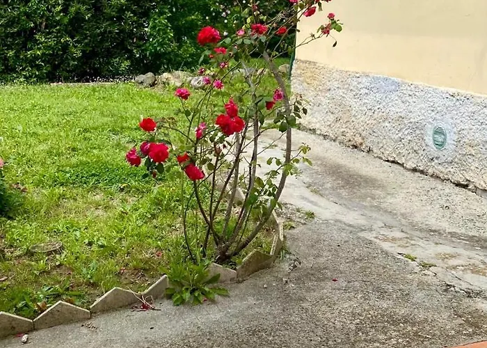 Pedali Di Liguria * Casarza Ligure